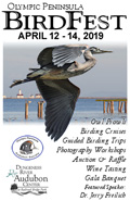 Olympic Peninsula BirdFest Apr 10-12, 2015